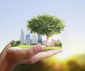 Vivienda con paneles solares y captación de agua pluvial en República Dominicana